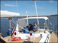 Bimini & Screen Installation